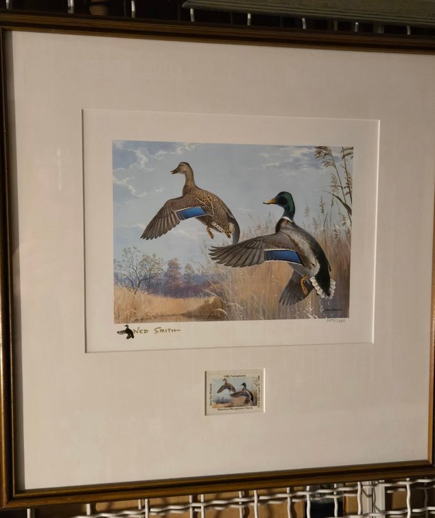 Ned Smith, 1985 PA Duck Stamp Print