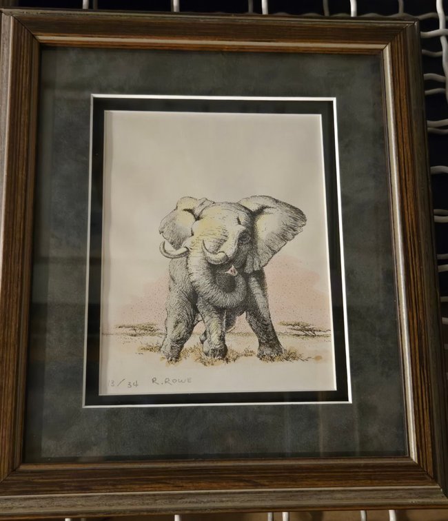 Randy Rowe, "Bull Elephant"