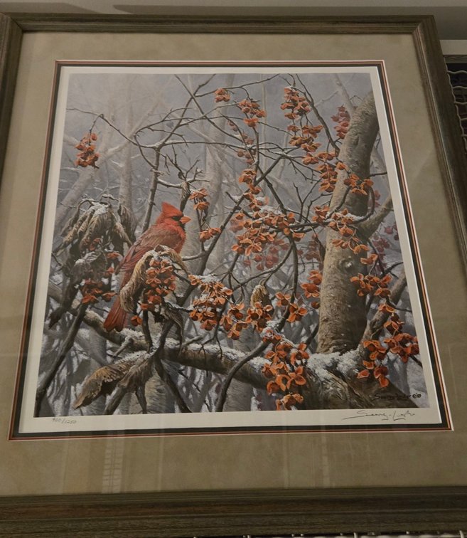 Jon Seerey-Lester, "Bittersweet Winter Cardinals"