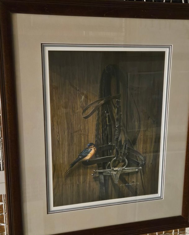 Susan Bankey Yoder, "Unbridled"