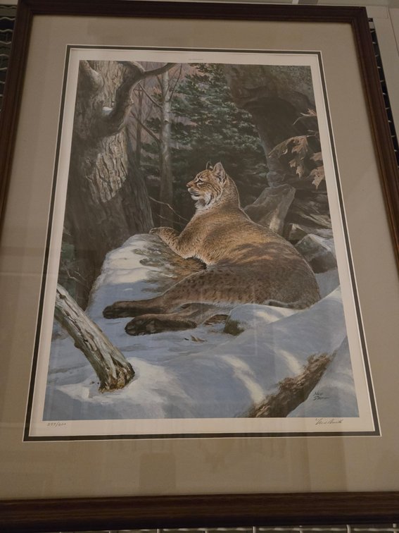 Ned Smith, "Big Woods Bobcat"