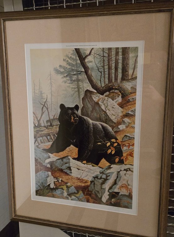Bob Sopchick, "Big Country Bruin"
