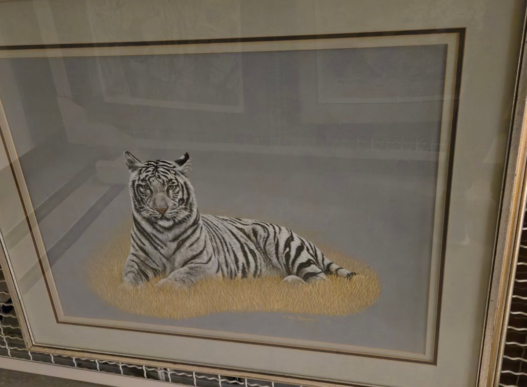 Rob Arbogast, "White Tiger"