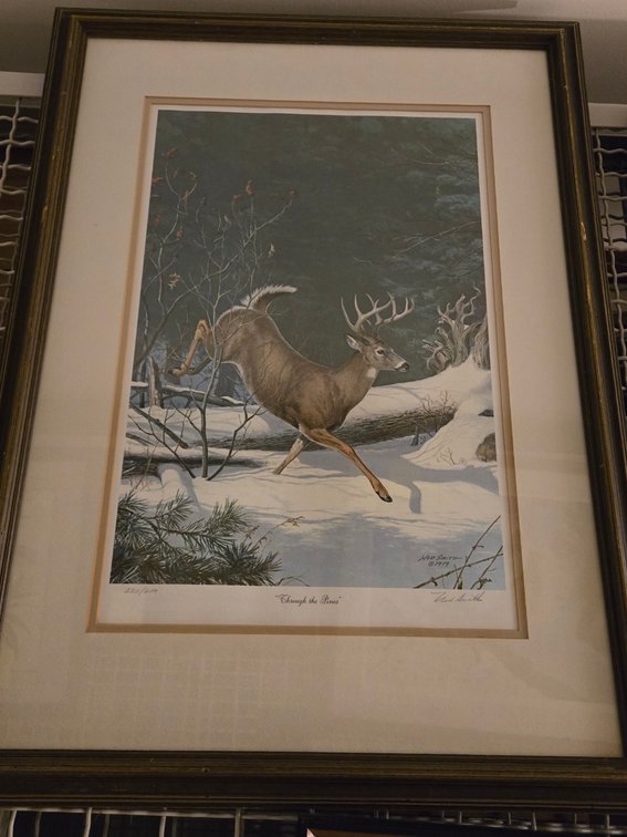 Ned Smith, "Through The Pines"