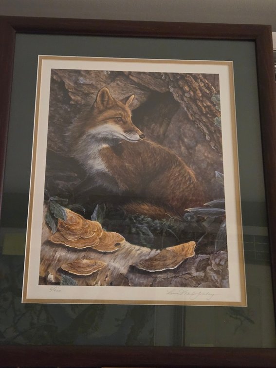 Laura Mark-Finberg, "Red Fox with Mushrooms"