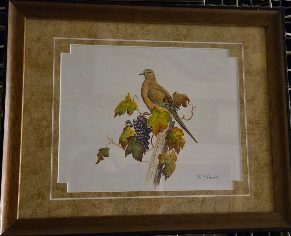 D. Chopple, "Dove on a Grapevine"