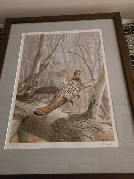 Ned Smith, "Windfall Grouse"