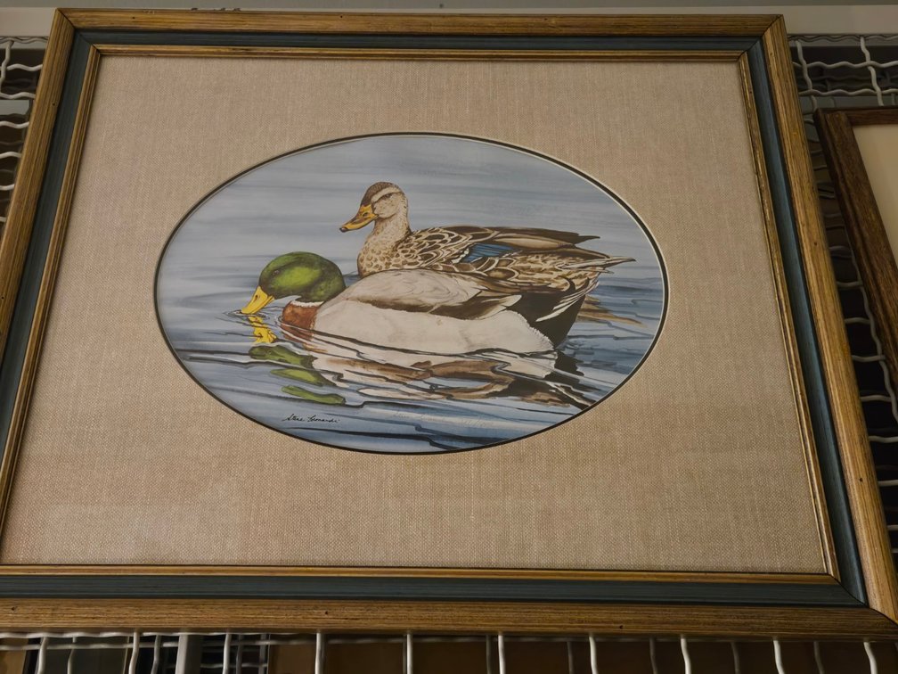 Steve Leonardi, "Mallards"