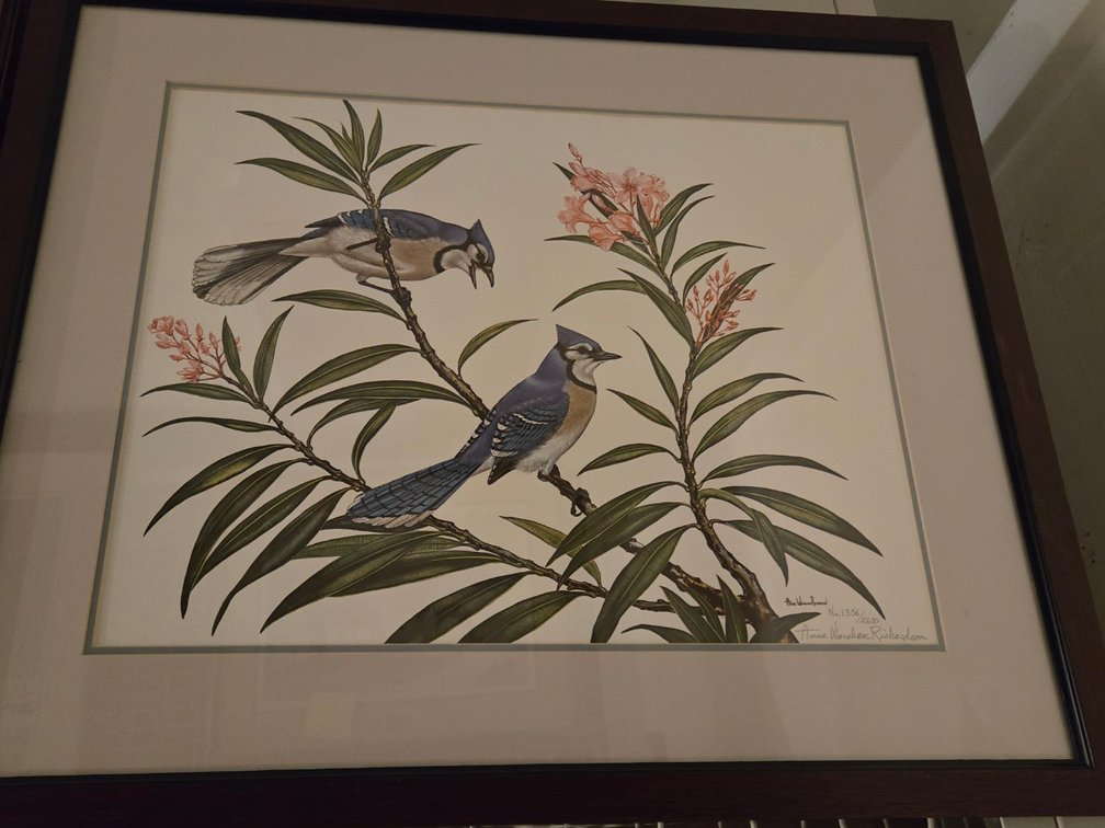 Anne Richardson, "Bluejays and Oleander"