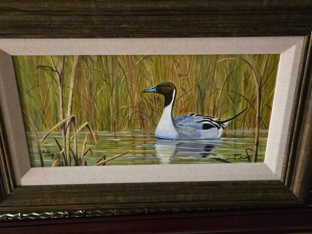 Jocelyn Beatty, "Pintail"