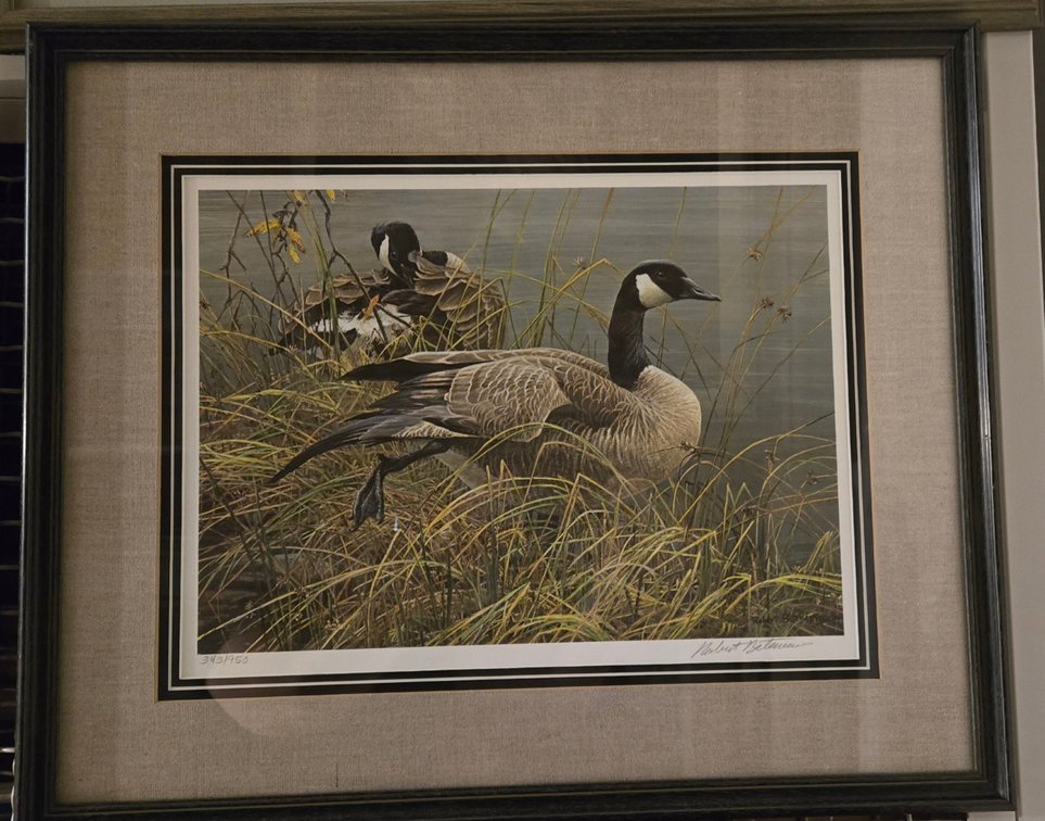Robert Bateman, "Canada Geese"