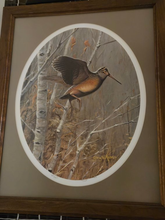 Gary Moss, "Timberdoodle"