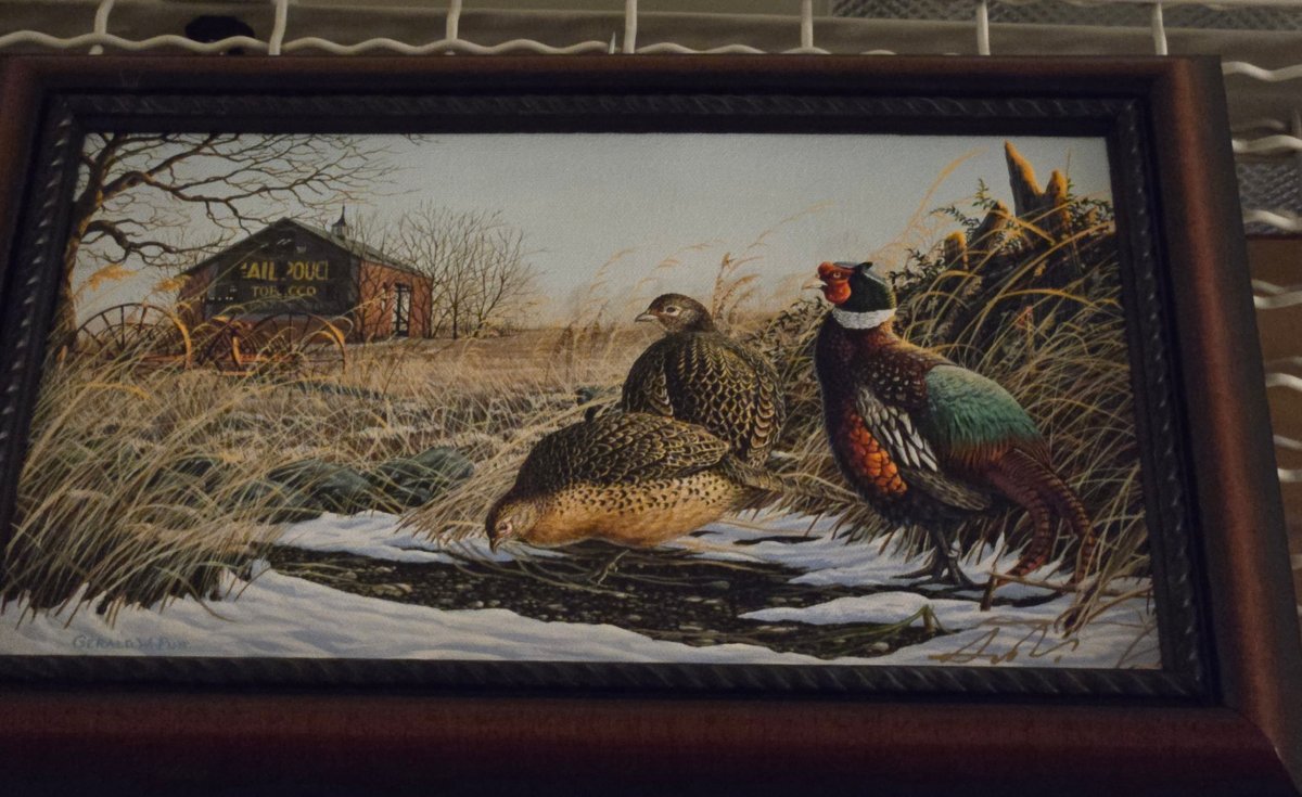 Gerald Putt, "Mail Pouch Pheasants"