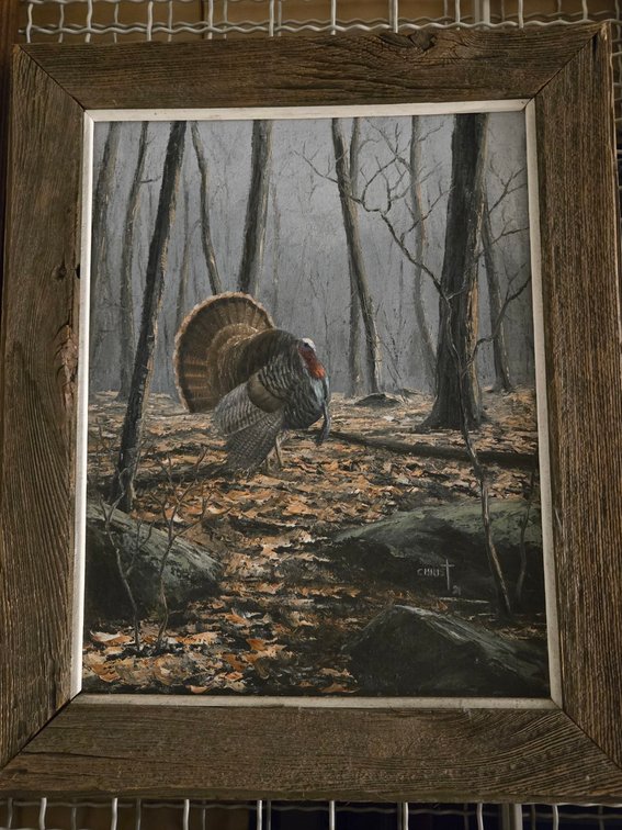 Dan Christ, "Eastern Wild Turkey"