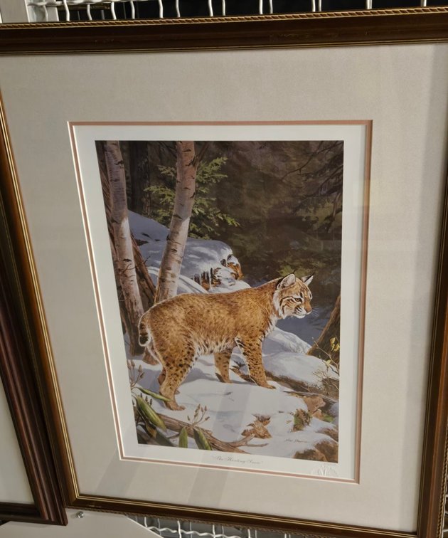Ned Smith, "The Hunting Snow"