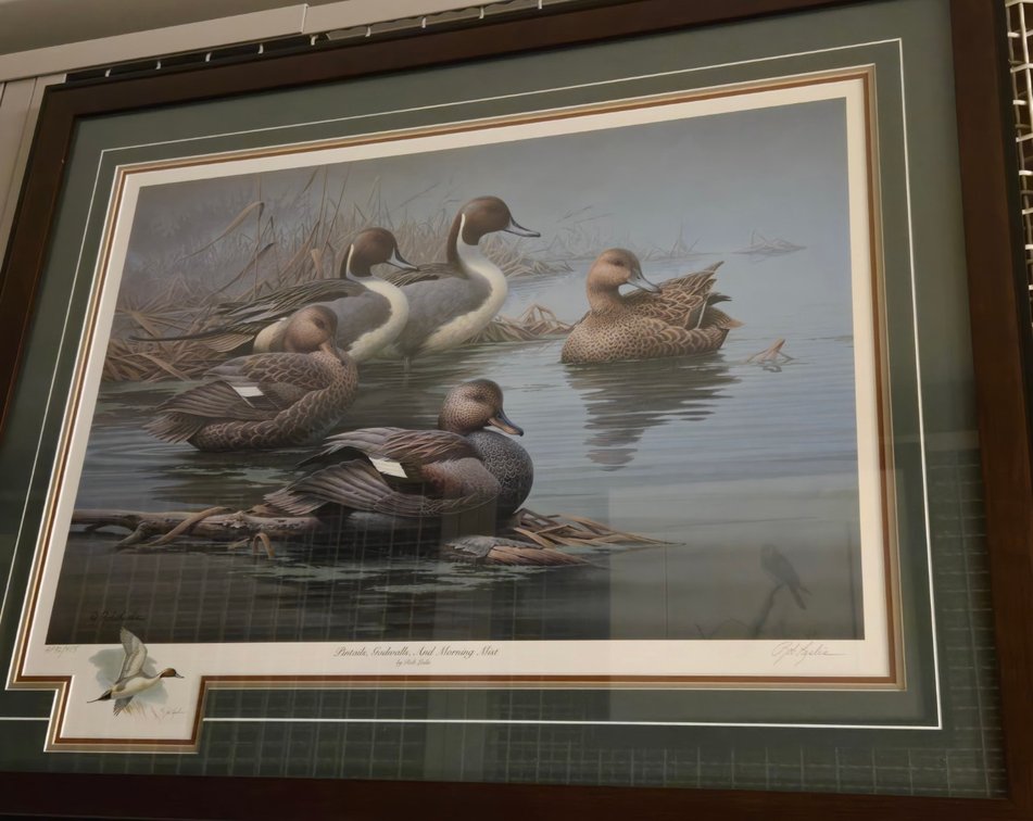 Rob Leslie, "Pintails, Gadwalls, and Morning Mist"