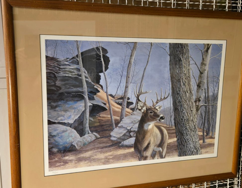 Laura Mark-Finberg, "Whitetailed Deer in the Woods"
