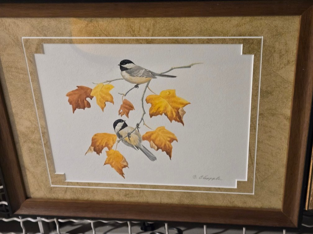 D. Chopple, Untitled - "Chickadee on a Maple Branch"
