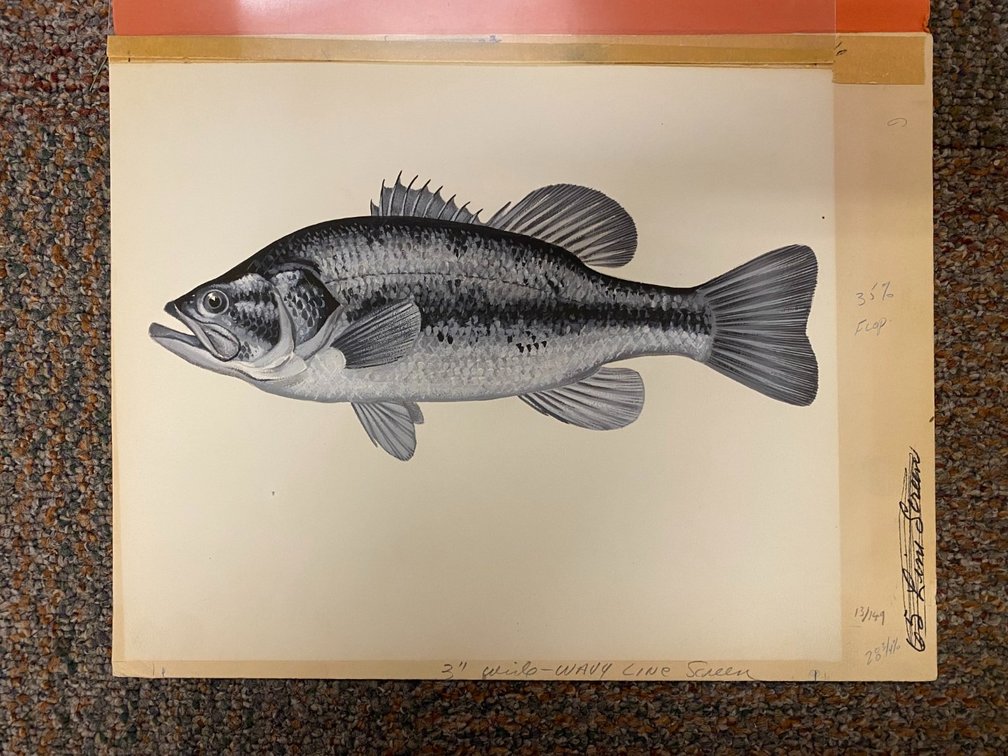 Ned Smith ORIGINALS "Black Bass" & "Yellow Perch"