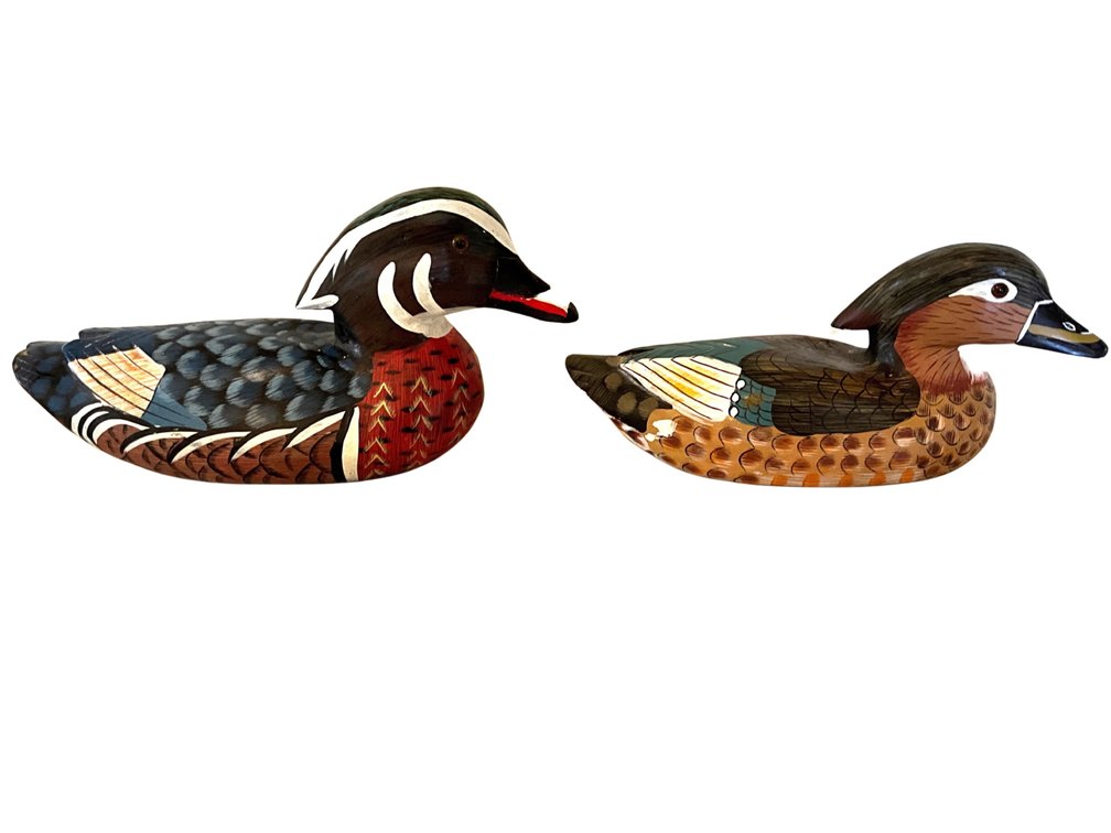 Pair of Hand-Painted Wood Duck Decoys