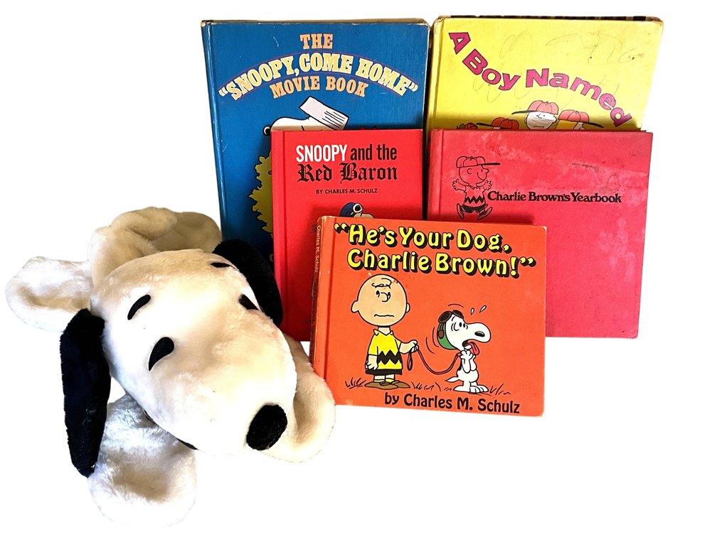 Snoopy Plush and Charlie Brown Books