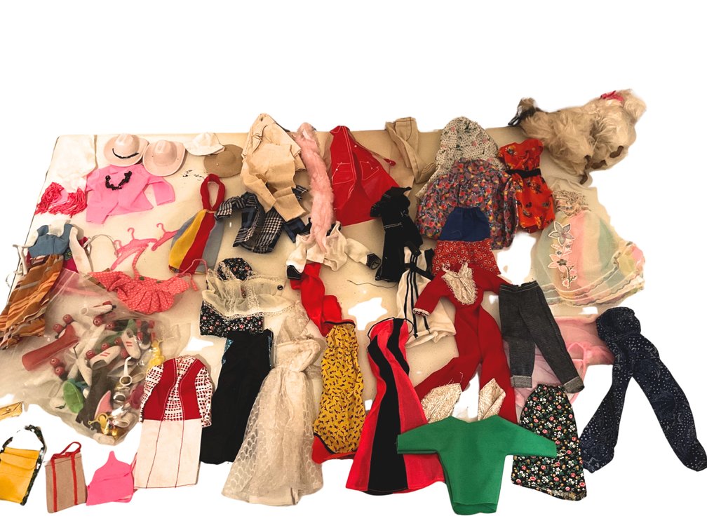 Barbie Doll Clothing & Accessories Collection