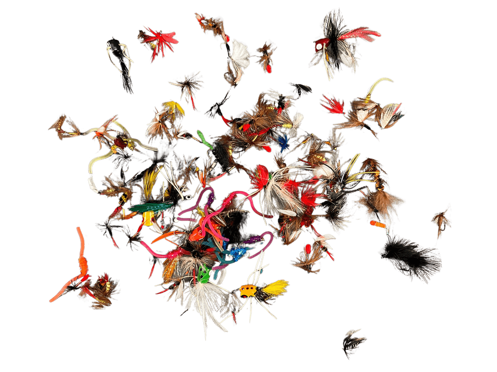Flies