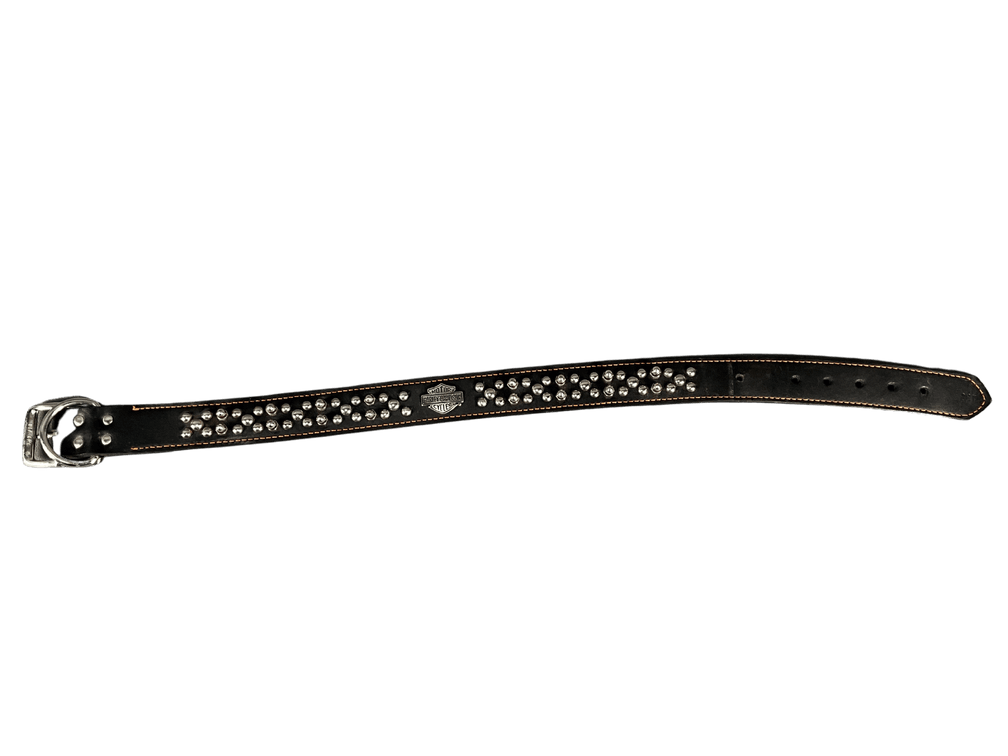 Harley Davidson Dog Collar