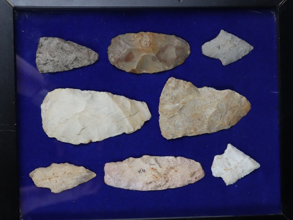 (8) Framed Native American Tools, Adz, and Elora Points