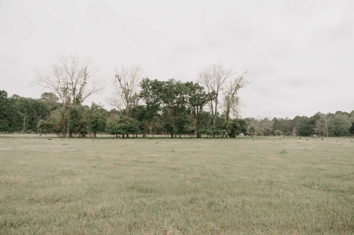 Image for The Jameson Estate - 11.5+/- Acres and Home in Thomas County