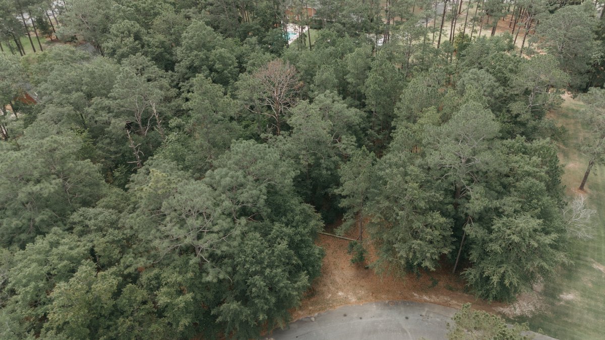 Image for *SOLD* 1.02 +/- Acres Lot #7 Montrose Subdivision