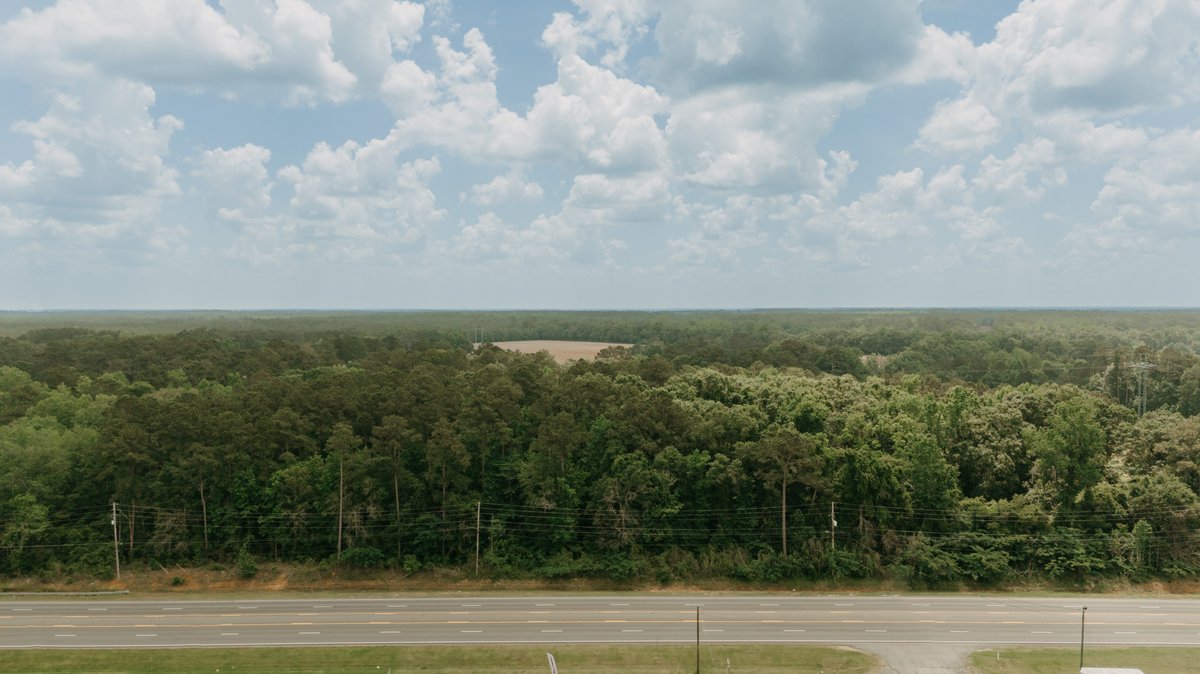 Image for 12 +/- Acres on US Highway 319 North