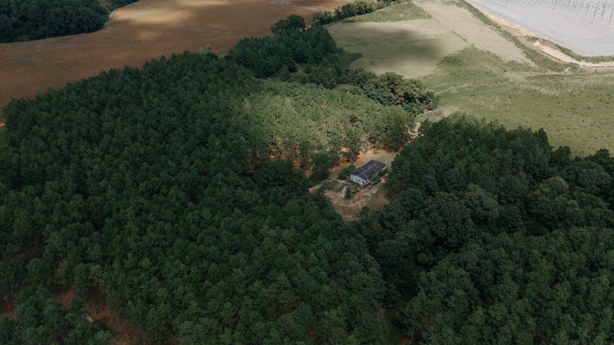 Image for 77.2 +/- Acre Sumter County Retreat: Restored Farmhouse, Hunting Land, and Timber Offered in Four Tracts