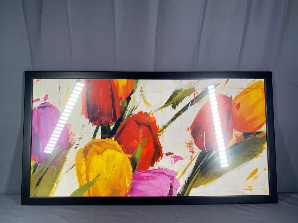 Framed Abstract Floral Print