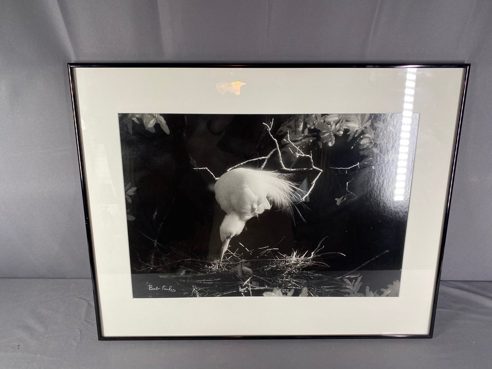 Black and White Framed and Matted Photograph "Nesting" Original Art Signed by Artist Bob Parker Leary GA 22" Tall x 28" Wide