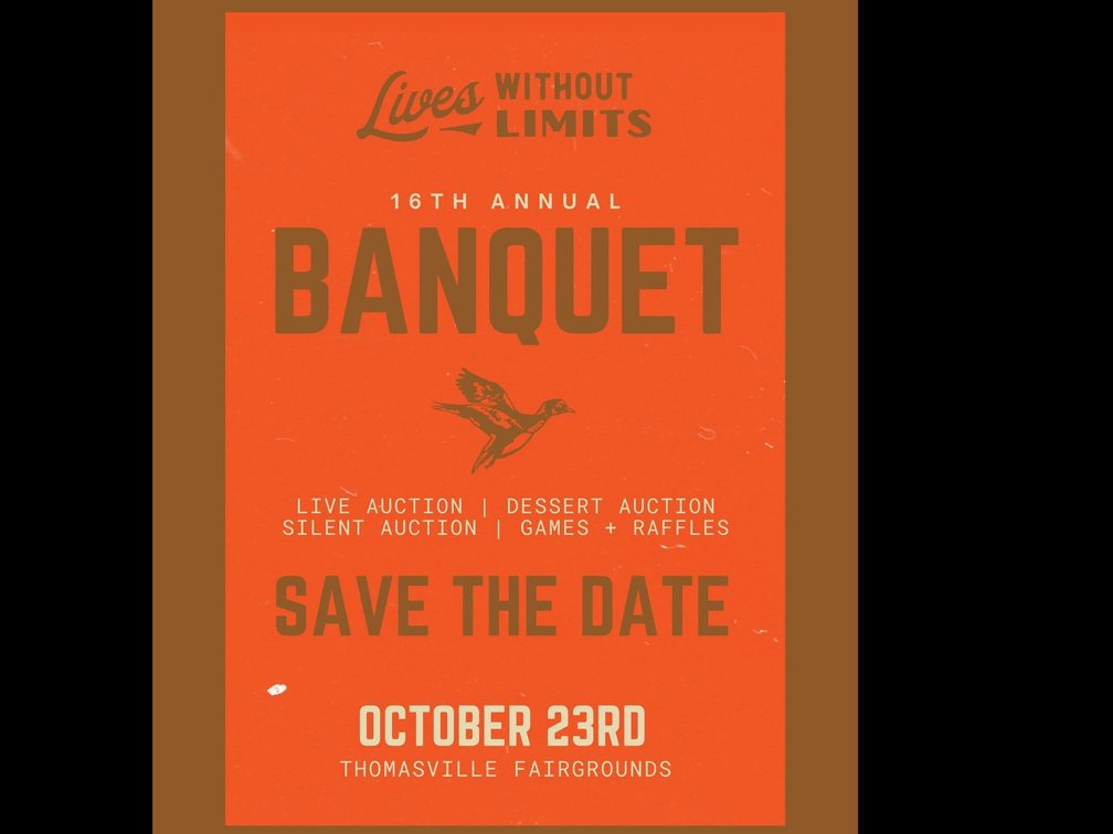 Image for 16th Annual Lives Without Limits Fundraiser