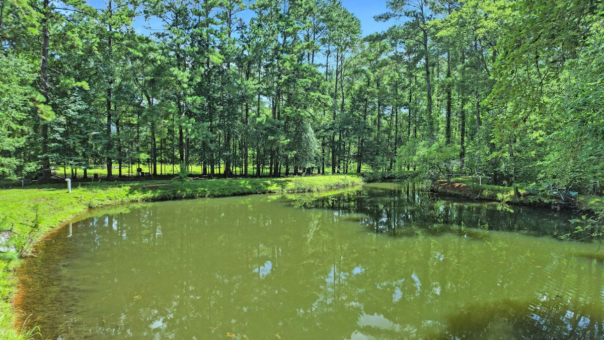 Image for Country Estate Home on 7.98± Acres | Albany, Georgia