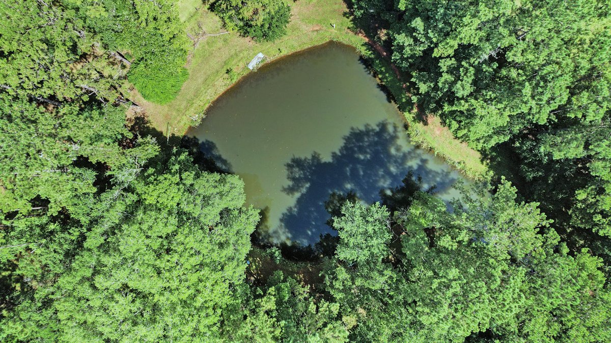 Image for Country Estate Home on 7.98± Acres | Albany, Georgia
