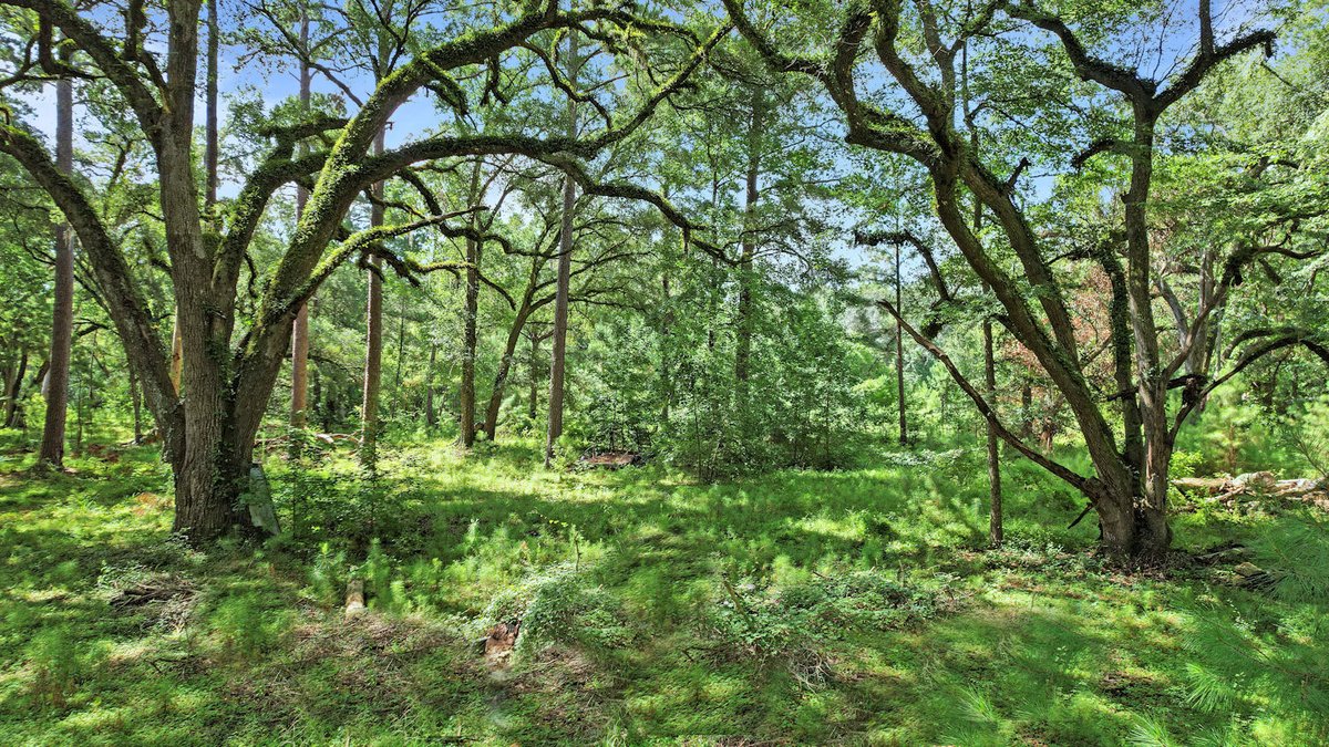Image for Country Estate Home on 7.98± Acres | Albany, Georgia
