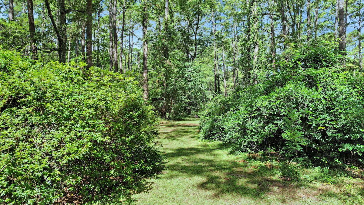 Image for Country Estate Home on 7.98± Acres | Albany, Georgia