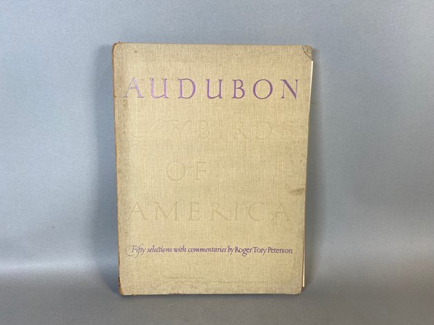 Image for (46) Vintage Audubon Birds of America Prints