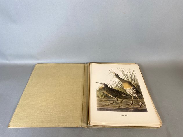 Image for (46) Vintage Audubon Birds of America Prints