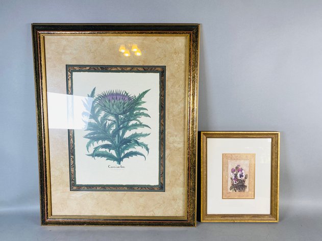 Image for (2) Framed Horticulture Prints