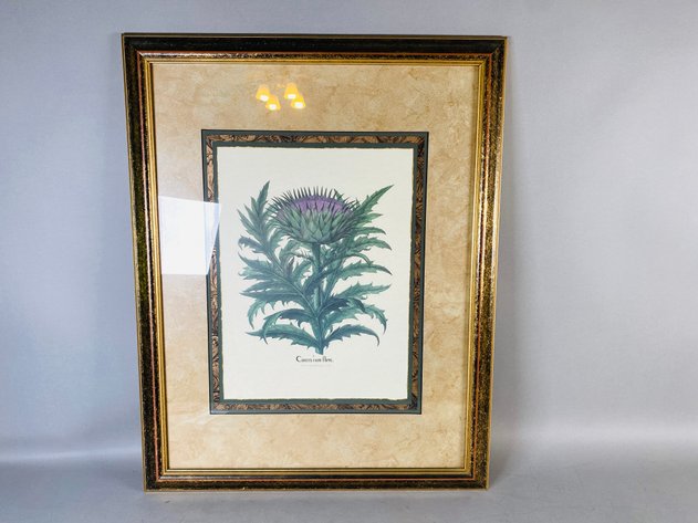 Image for (2) Framed Horticulture Prints