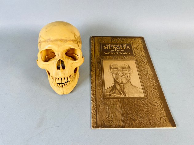 Image for Plastic Human Skull Model and 1931 Paperback 