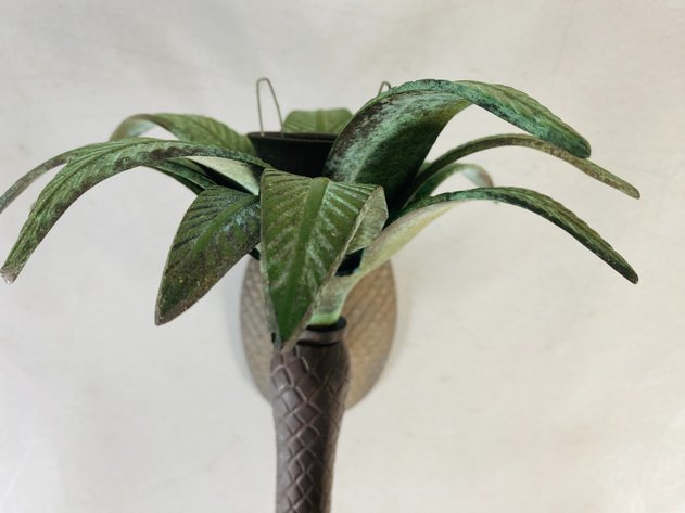 Image for Assortment of Tropical Themed Decor