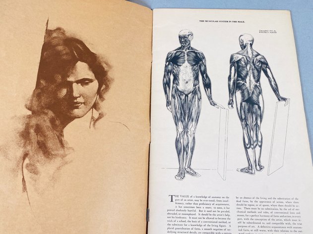 Image for Plastic Human Skull Model and 1931 Paperback 