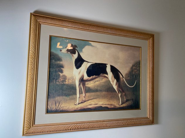 Image for 