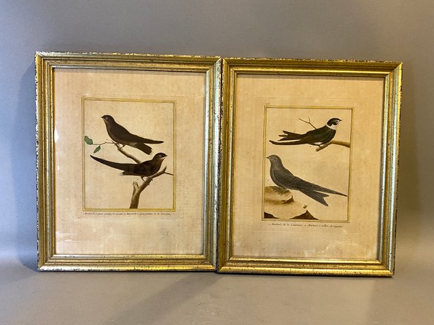 Image for (2) Hall House Framed Vintage French Ornithological Lithograph's by Francois-Nicolas Martinet