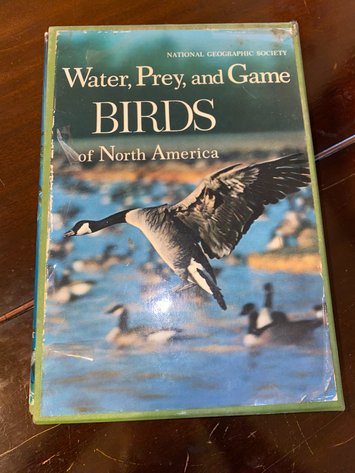 Image for Collection of (4) Bird Themed Books